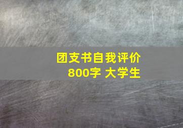 团支书自我评价800字 大学生